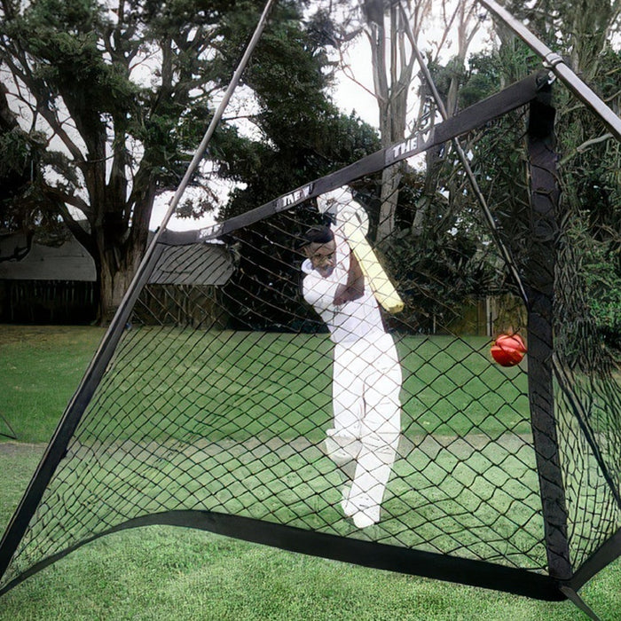 The Story Behind The V