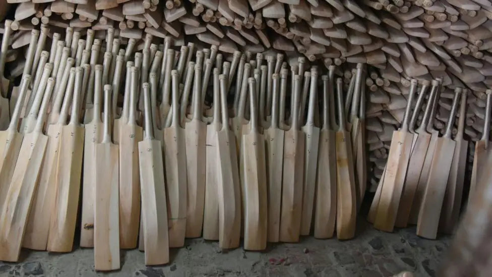 Why English Willow Is the Soul of the Cricket Bat