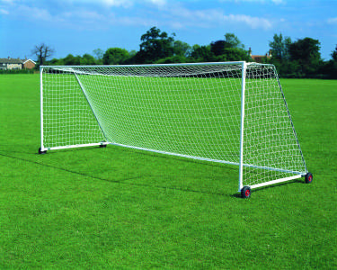 A white soccer goal with a net stands on a green grass field under a blue sky, with trees and houses visible in the background.