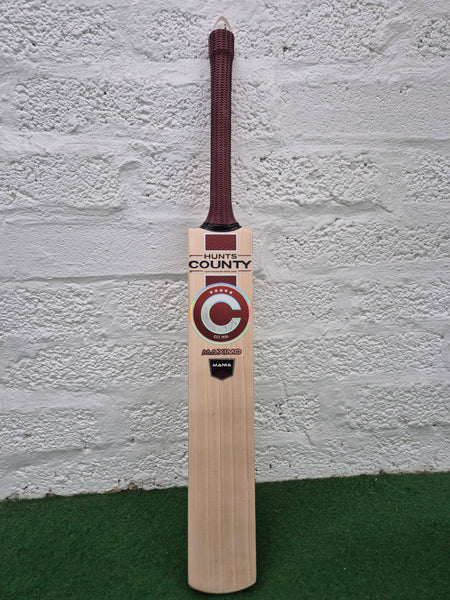 A Hunts County Maximo Senior Cricket Bat with a maroon handle stands upright against a white textured wall on green turf. The front of this senior bat prominently features the Hunts County logo and branding.