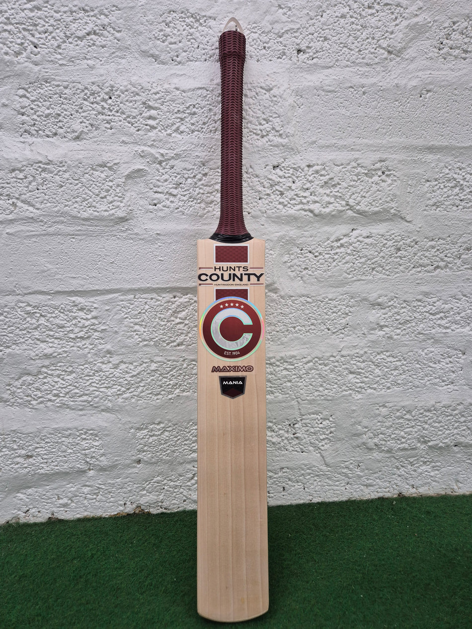 A Hunts County Maximo Senior Cricket Bat with a maroon handle stands upright against a white textured wall on green turf. The front of this senior bat prominently features the Hunts County logo and branding.