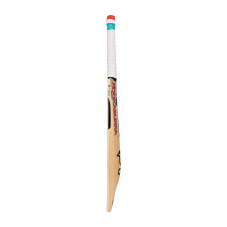 The Kookaburra Nickel Pro 3.1 Icon Junior Cricket Bat 2026 stands upright, showing off its white grip with red and teal accents and the Kookaburra brand name on the side.
