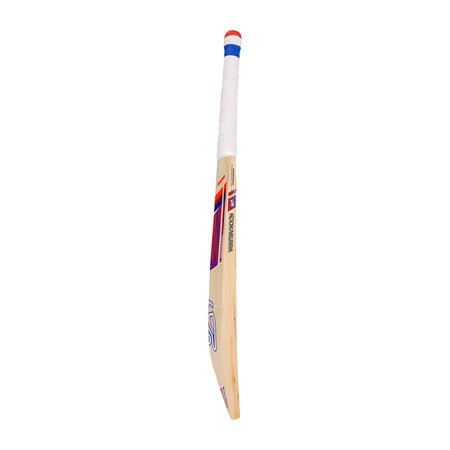 The Kookaburra Rapid Pro 2.1 Elite Junior Cricket Bat 2026, made from English willow with a white handle and red, blue, and black graphics, is shown upright on a white background.