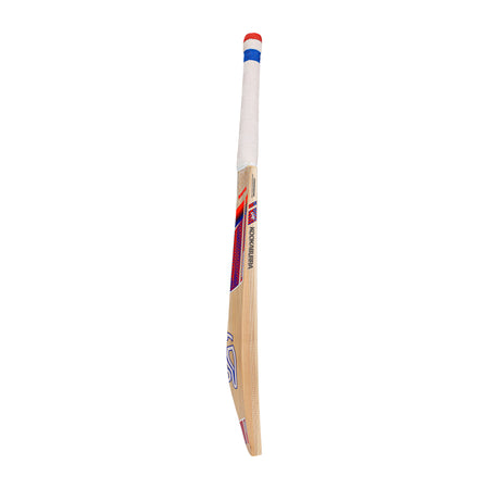 The Kookaburra Rapid 4.1 Hero Junior Cricket Bat 2026 features a taped white handle with blue and red accents, standing upright on a plain white background.