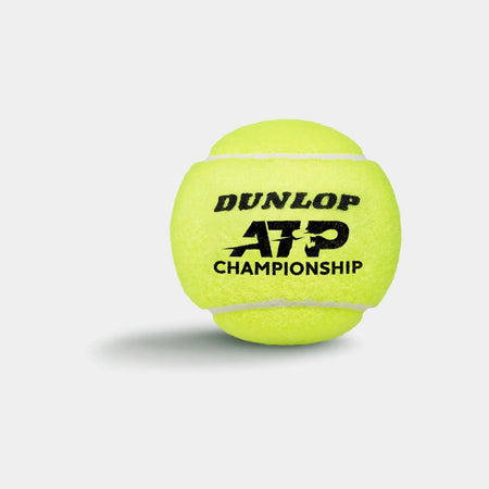 A tube of four yellow Dunlop ATP Championship Tennis Balls by Dunlop, ideal for entry-level players, displays bold black branding and rests on a plain light surface with a faint shadow to the left.