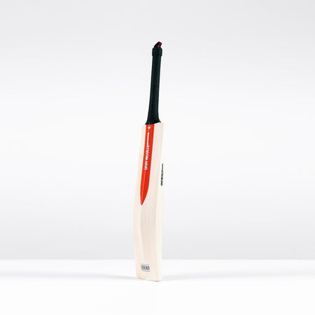 The Gray Nicolls Legend Silver Edition Junior Cricket Bat, a wooden English willow bat with a black handle and red and white sticker, featuring an expanded sweet spot, stands upright against a plain white background.
