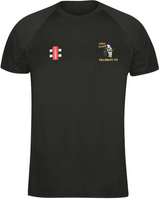 The Hillesley CC Black Matrix V2 T Shirt by Gray Nicolls is a moisture-wicking black tee with a red and white logo on the right chest and a vibrant "Hillesley Cricket Club" emblem with a cartoon cricketer on the left.