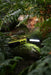 The Six Peaks Multi-function LED Work Light, featuring yellow and black accents, sits on moss among ferns in a forest, brightly illuminating its surroundings.