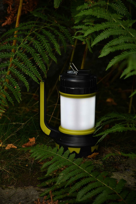 The Six Peaks Multi-function Torch Lantern by Six Peaks, featuring a black and green handle, shines brightly among fern leaves—ideal as a rechargeable LED lantern for any outdoor adventure.