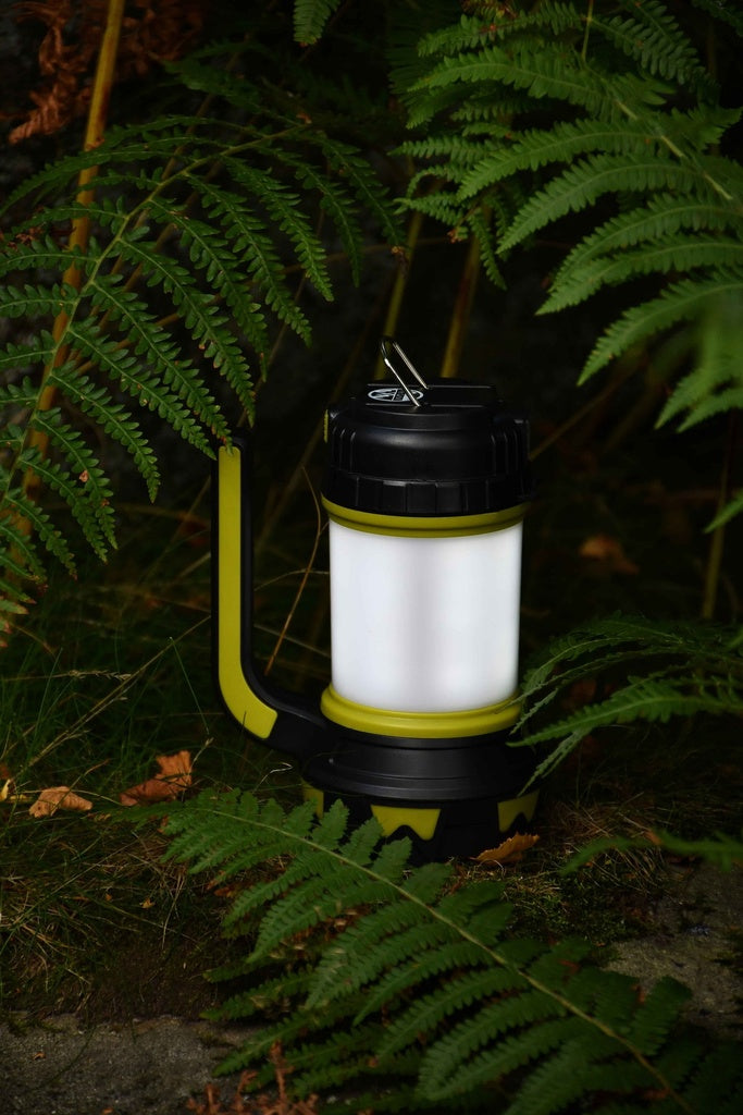 The Six Peaks Multi-function Torch Lantern by Six Peaks, featuring a black and green handle, shines brightly among fern leaves—ideal as a rechargeable LED lantern for any outdoor adventure.