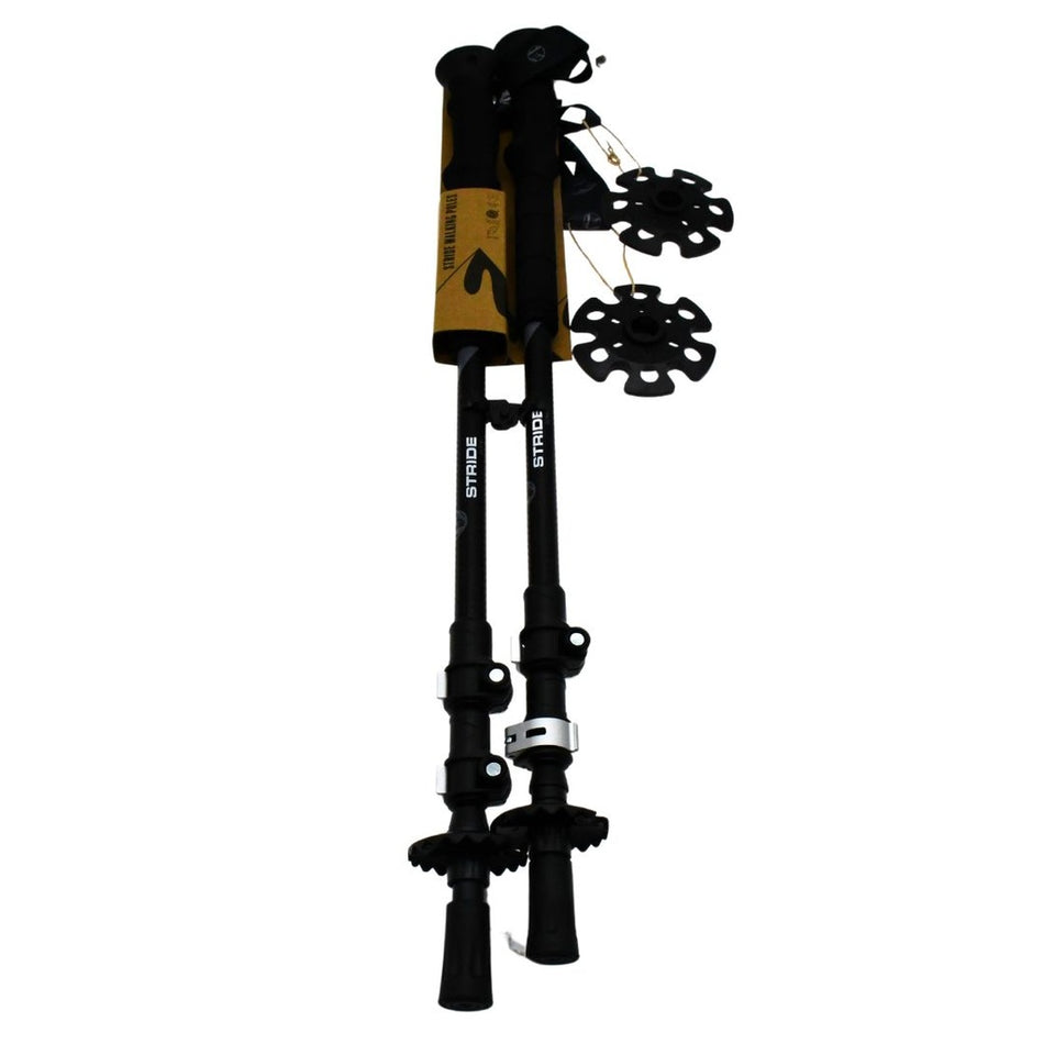 The Six Peaks Stride Walking Poles by Six Peaks feature ergonomic handles, black adjustable shafts, and large snow baskets—bundled upright and ready to enhance your hiking adventures.