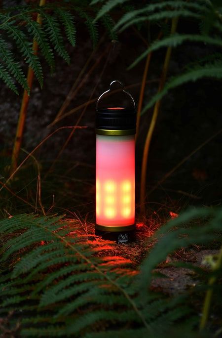 The Six Peaks Multi-function Aluminium Torch Lantern by Six Peaks sits on the ground among green ferns and tall grass, lighting up surrounding foliage in a nighttime forest setting.