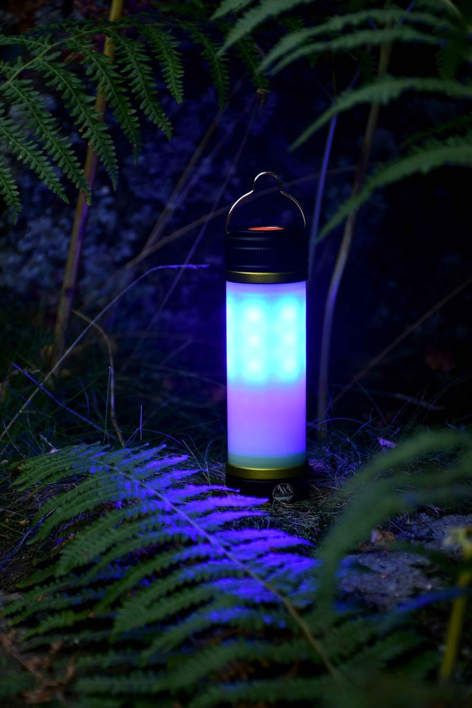 The Six Peaks Multi-function Aluminium Torch Lantern by Six Peaks, with a glowing blue light, stands on the ground amid green ferns and grass in a dark outdoor setting.