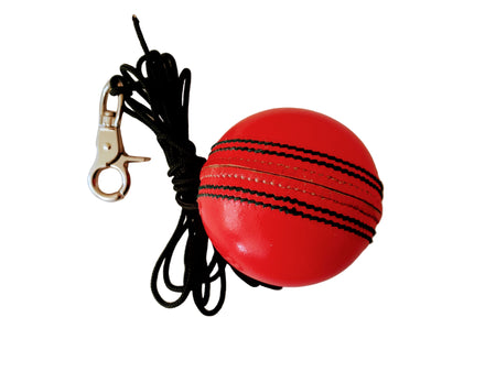 The V - Replacement Senior Pink Ball by The V is a cricket ball in pink leather, attached to a long black cord with a metal clip. Perfect for cricket training nets. Shown isolated on a white background.