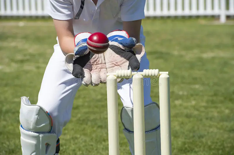 Cricket wicket keeping