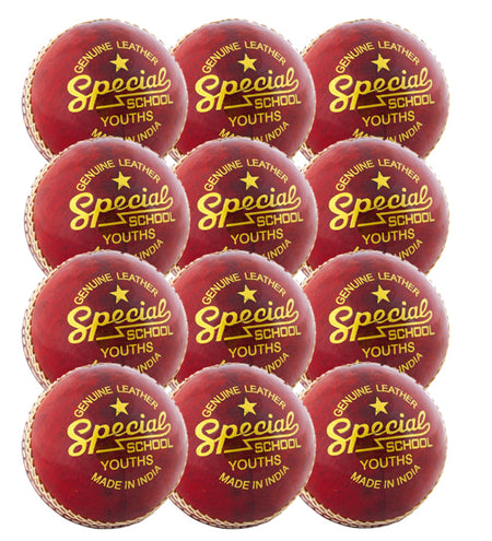 The Readers Special School Cricket Ball - Twelve Pack by Readers features twelve red genuine leather balls printed with "Special School Youths, Genuine Leather, Made in India" in yellow, arranged compactly—ideal for youth cricket.