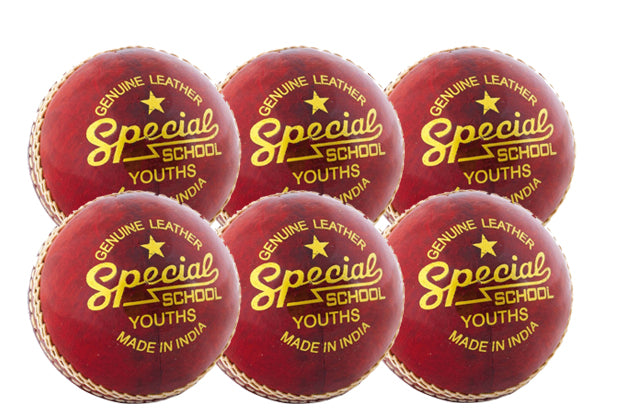 Readers Special School Cricket Ball - Six Pack