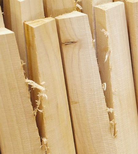 Several rough-cut custom made cricket bats (Grade 4 Willow) by Martin Berrill Sports stand upright, displaying light-colored English willow—perfect for crafting handcrafted cricket bats.