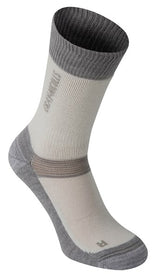 A single Gray Nicolls Velocity Sock in white and gray, featuring a ribbed cuff, reinforced heel and toe, and gray accents around the foot and ankle, displayed on a white background.