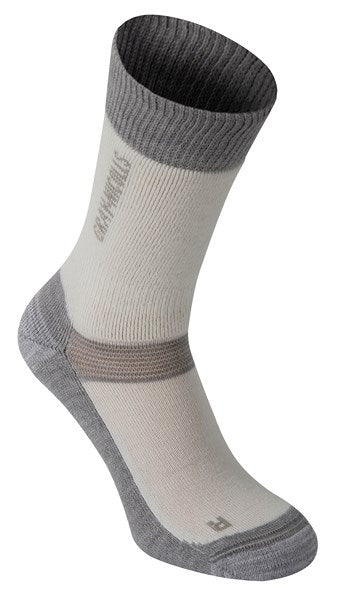 A single Gray Nicolls Velocity Sock in white and gray, featuring a ribbed cuff, reinforced heel and toe, and gray accents around the foot and ankle, displayed on a white background.