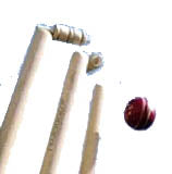 A red cricket ball strikes Hunts County English Ash County Stumps 28, knocking off the bails against a white background.