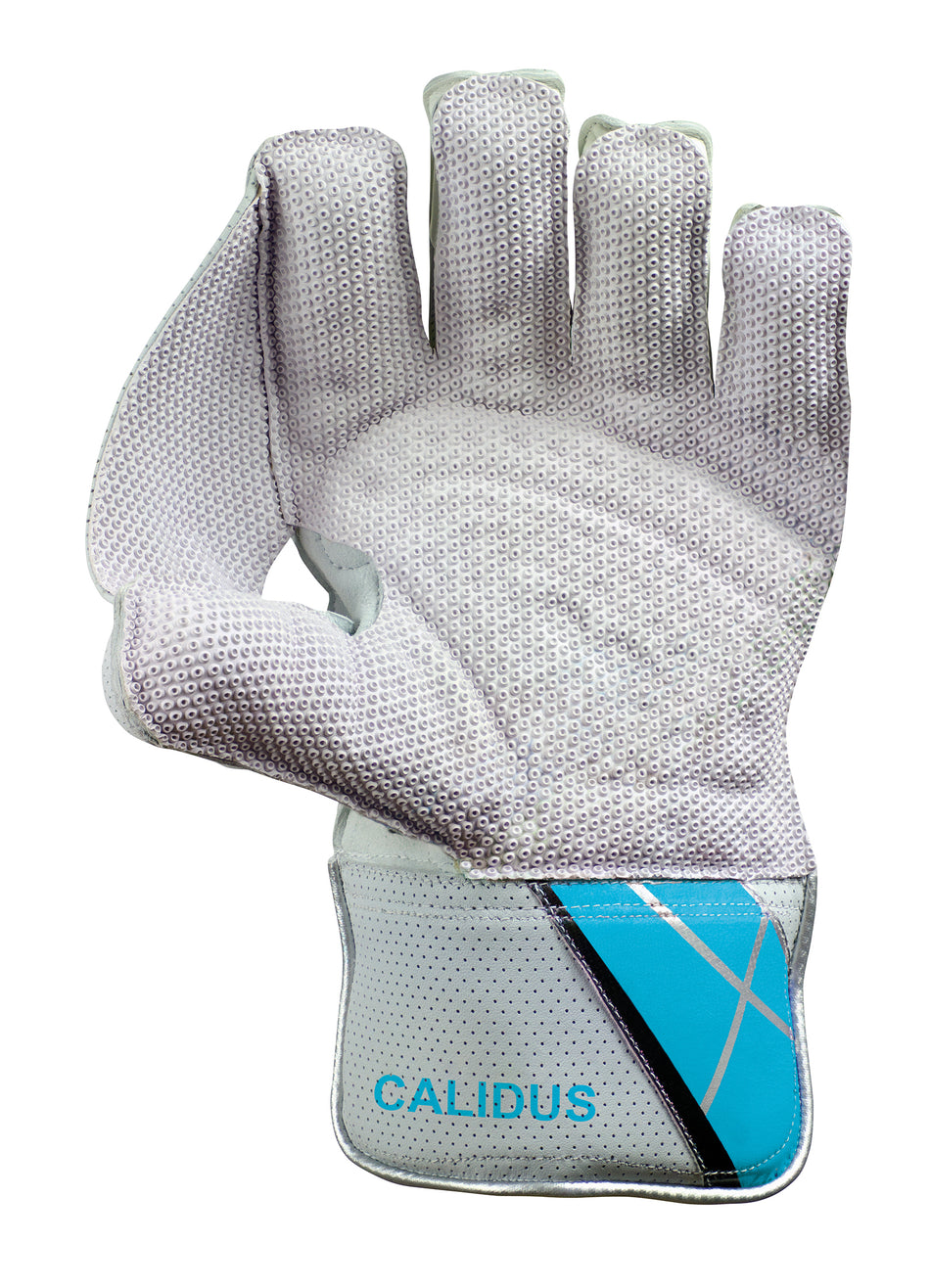 The Hunts County Calidus Wicket Keeping Glove, in white and gray with blue and black accents and "CALIDUS" on the wrist strap, features Pittards leather for extra grip, displayed palm forward.