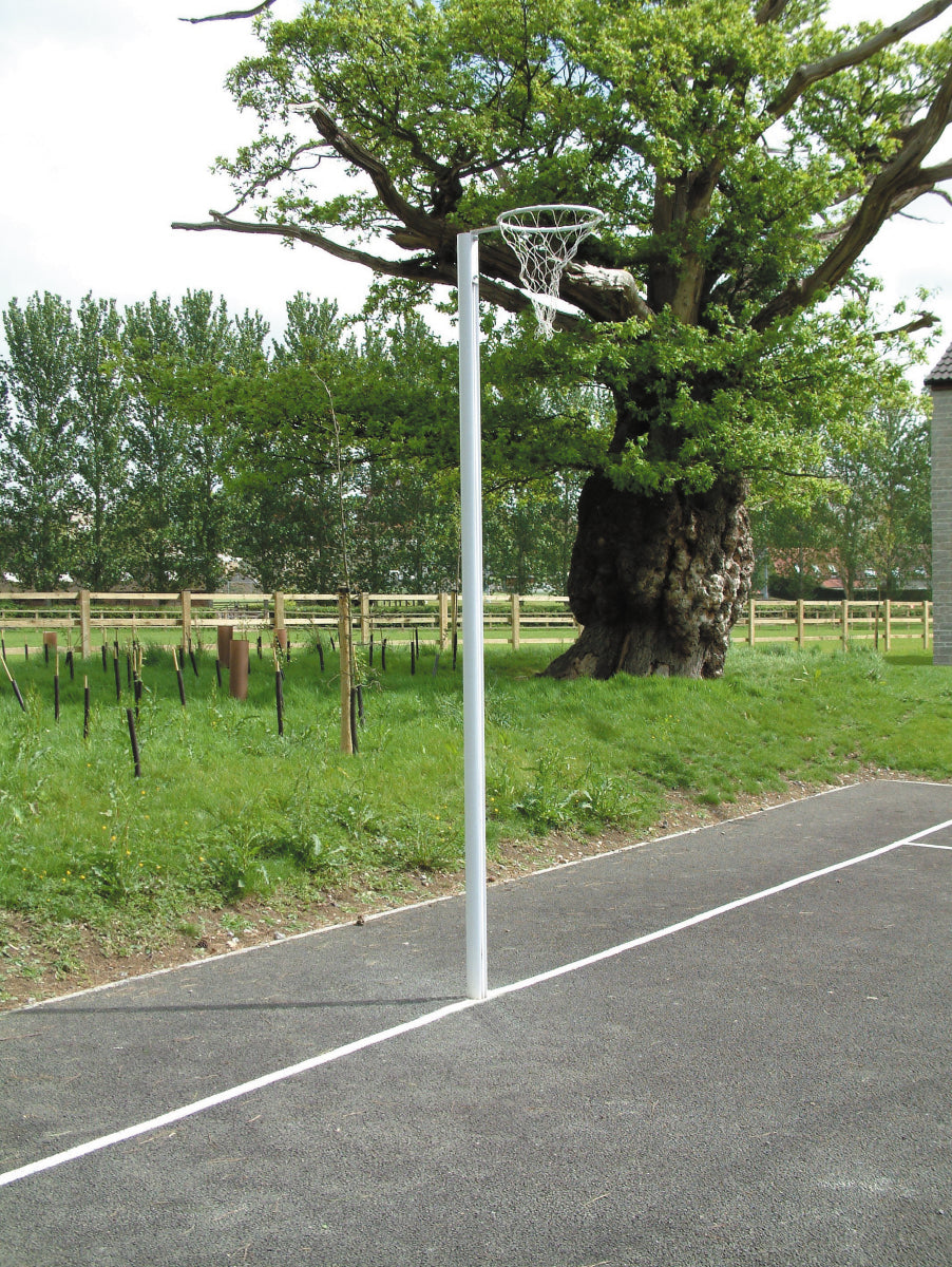 A Harrod Sport International Netball Posts - Socketed, fitted with an adjustable ring and net, is set up on a paved court near grass, a large tree, a wooden fence, and more trees in the background.