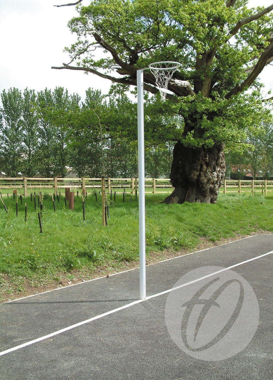 Harrod Sport Outdoor Socketed International Netball Posts with reinforced aluminium uprights and adjustable ring height stand on an outdoor court near a large old tree, surrounded by grass, wooden fencing, and more trees under a partly cloudy sky.