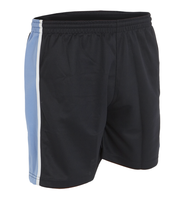 The Falcon Sportswear Tewkesbury School Sports Shorts are black with an elasticated waistband, crafted from heavyweight polyester, and feature a light blue vertical stripe bordered by white on the left side.